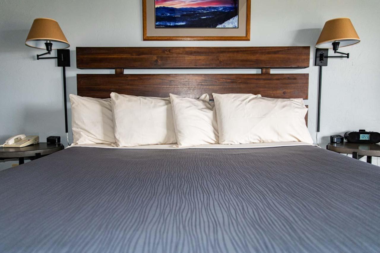 Vienna Hotel 4*