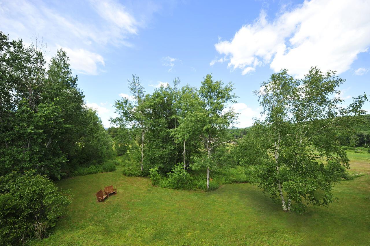 Vienna Windham